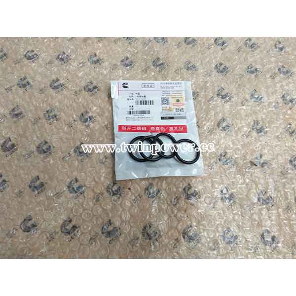 Cummins O Ring Seal 109080,shanghai