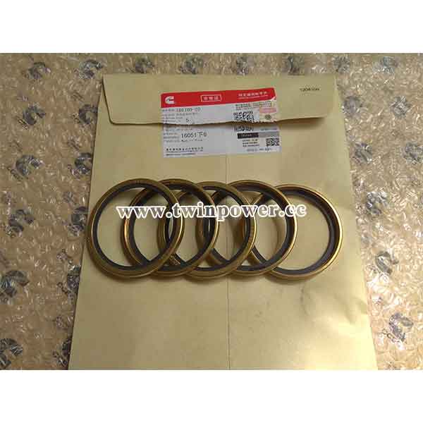 Cummins Thermosta Seal 186780 20,CCEC