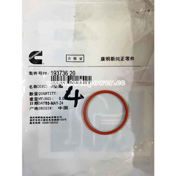 Cummins-193736-20-Injector O Ring Seal,genuine CCEC parts