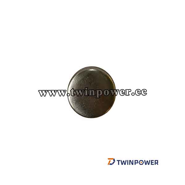 Expansion Plug 206224