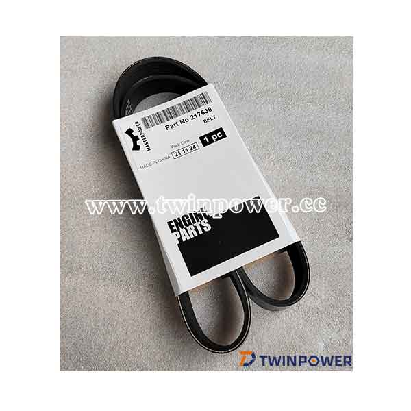 V Ribbed Belt 217638