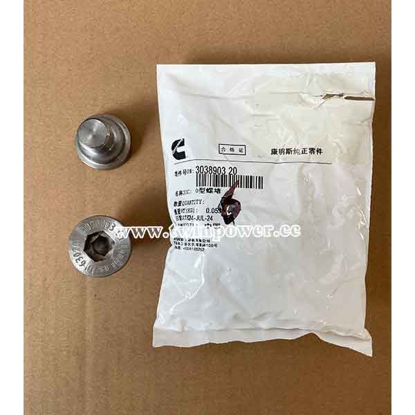 Cummins O Ring Plug 3038903,genuine CCEC parts