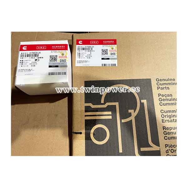Cummins 3176570,genuine CCEC parts