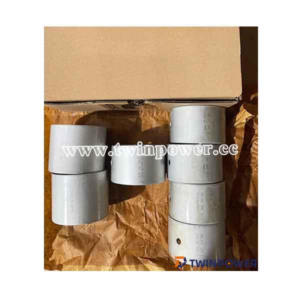 Camshaft Bushing Kit 3801106