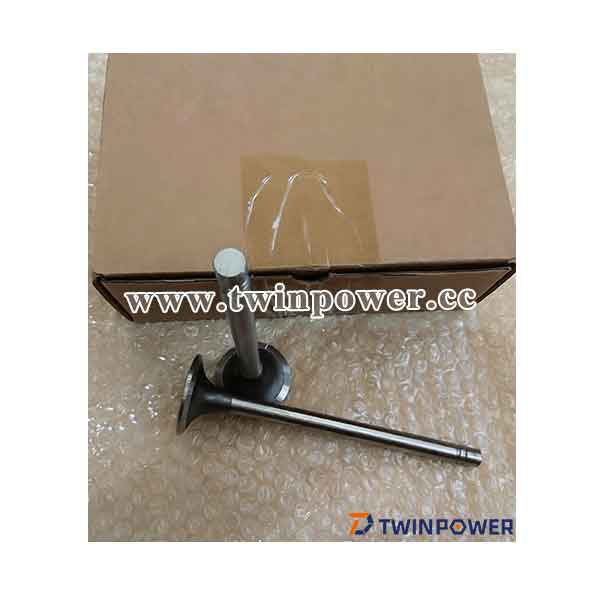 Intake Valve 3803512