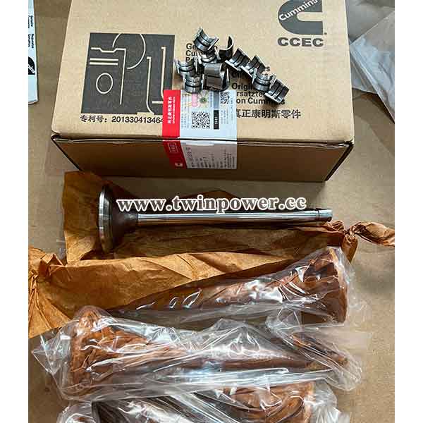 Cummins Intake Valve 3803518,CCEC