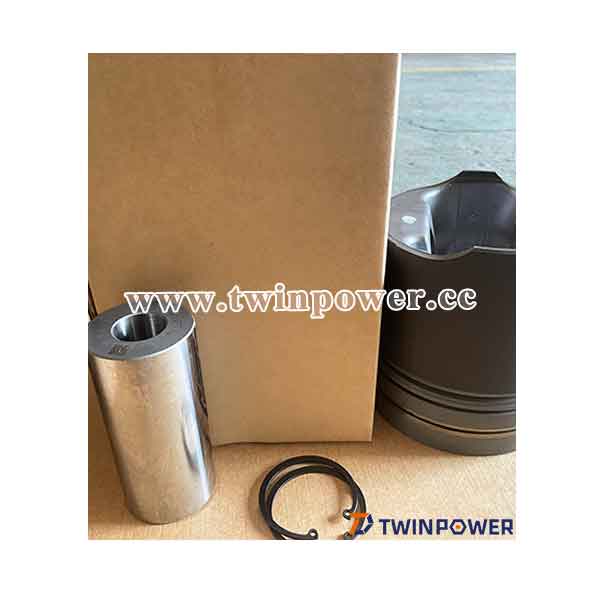 Engine Piston Kit 3803530