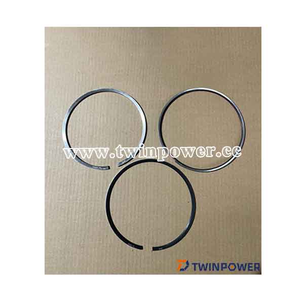 Piston Ring Kit 4089489