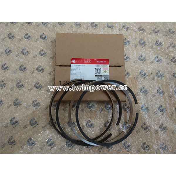 Cummins Piston Ring Set 4089810，CCEC