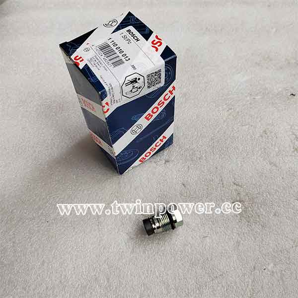 Bosch Pressure Relief Valve 1110010013