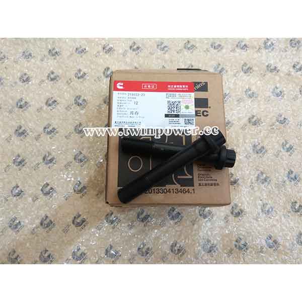 Cummins Fracture Resistant Screw 219153，CCEC