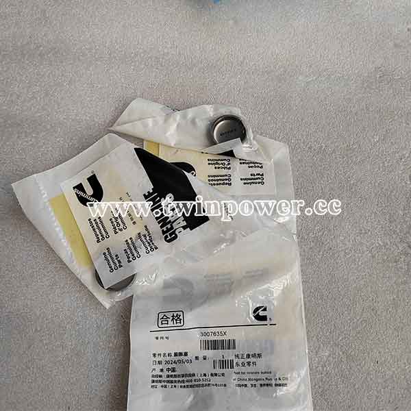 Cummins Expansion Plug 3007635,original