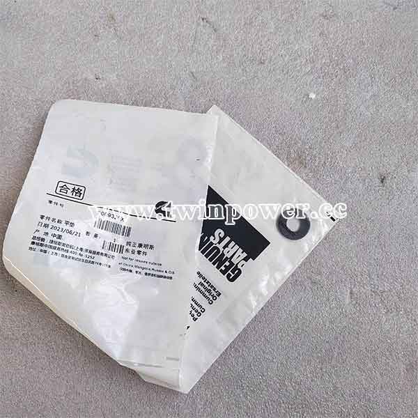 Cummins Plain Washer 3009329,original
