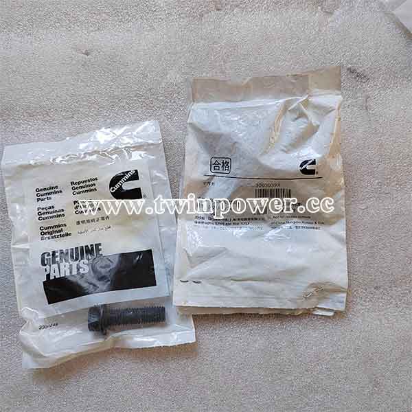 Cummins Hex Flange Head Cap Screw 3093939，original