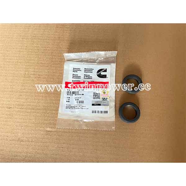 Cummins Rectangular Ring Seal 3627449