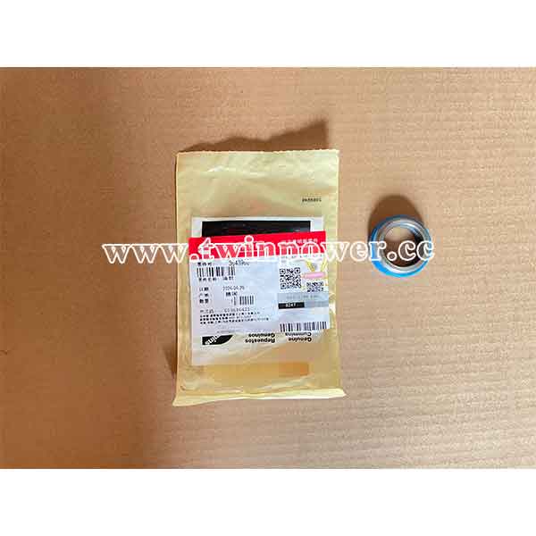 Cummins Oil Seal 3643960