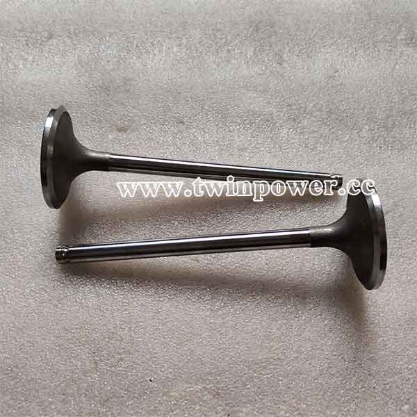 Cummins Intake Valve Kit 3802463