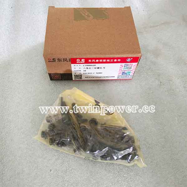 Cummins Hex Flange Head Cap Screw 3900628，DCEC