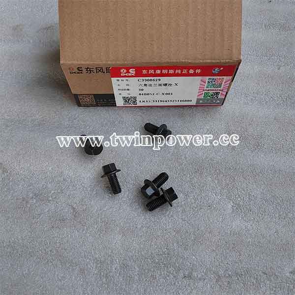 Cummins Hex Flange Head Cap Screw 3900629,DCEC