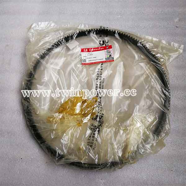 Cummins Flywheel Ring Gear C3901774,DCEC