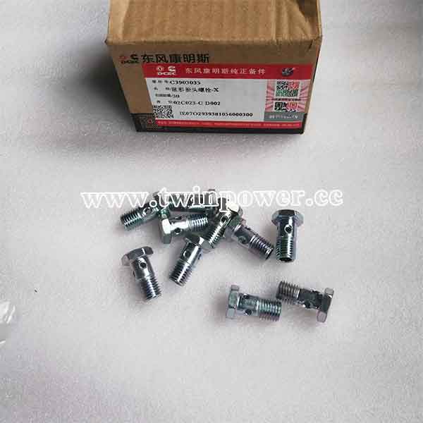 Cummins Banjo Connector Screw C3903035,DCEC