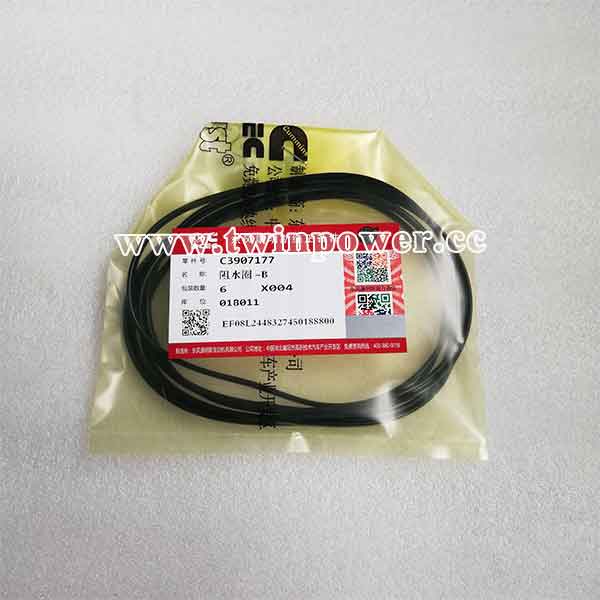 Cummins Rectangular Ring Seal C3907177,DCEC