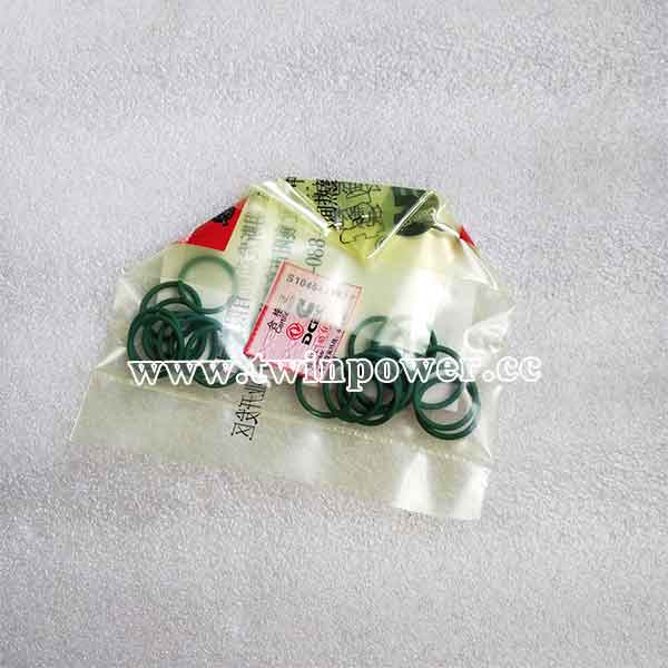 Cummins O Ring Seal C3913994,DCEC