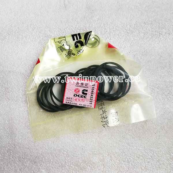 Cummins Rectangular Ring Seal C3915772,DCEC