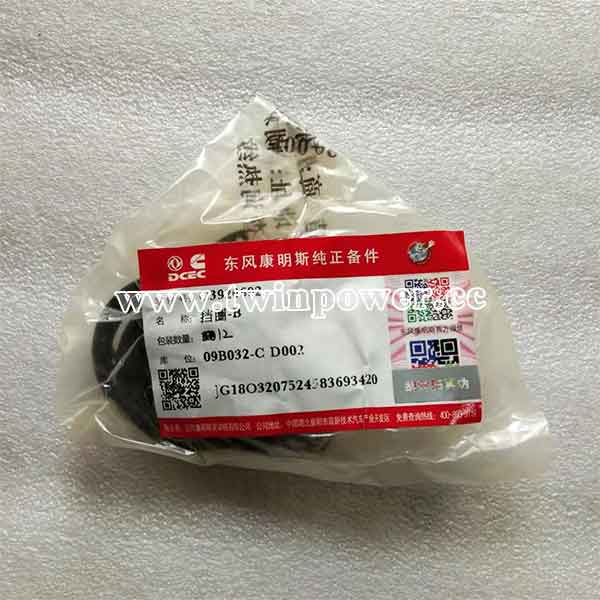 Cummins Retainer Ring C3920692,DCEC