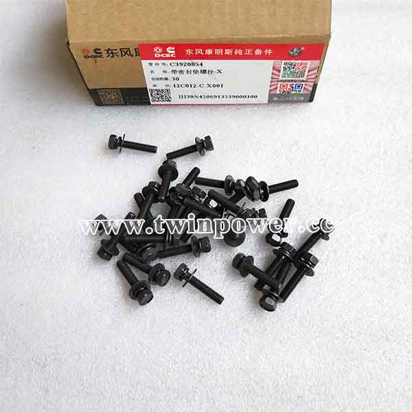 Cummins Captive Washer Cap Screw C3920854,DCEC