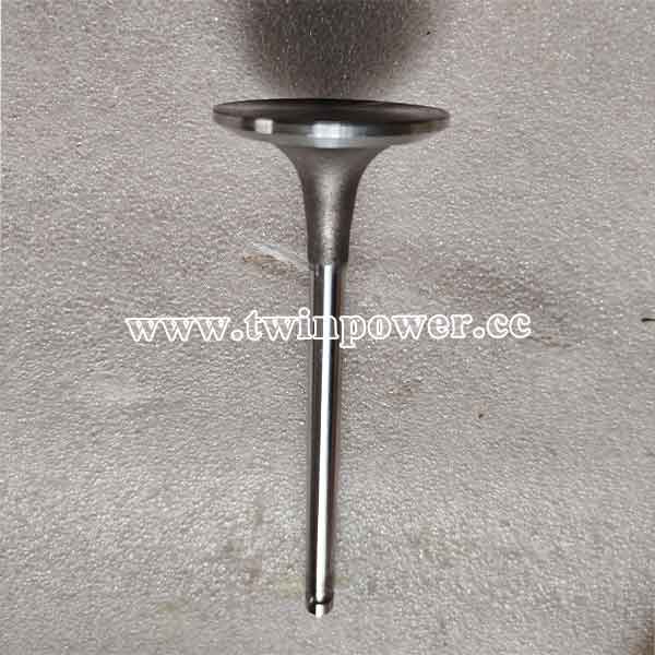 Cummins Intake Valve 3920867