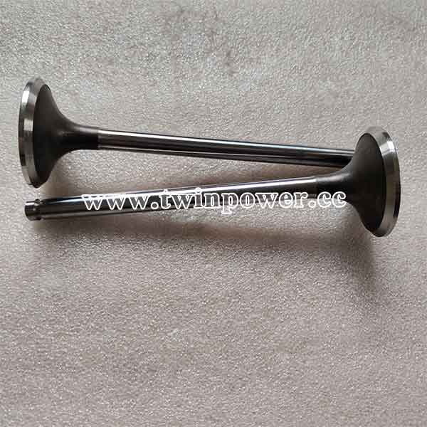 Cummins Exhaust Valve C3921444,DCEC
