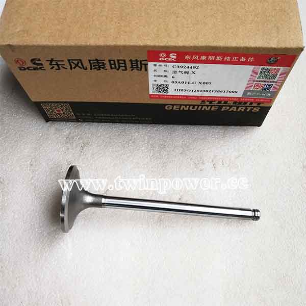 Cummins Intake Valve C3924492,DCEC
