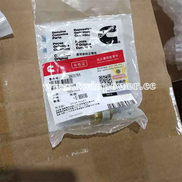 Cummins Check Valve 3926761,DCEC