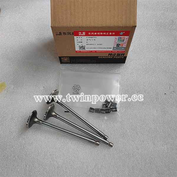 Cummins Intake Valve C3940735