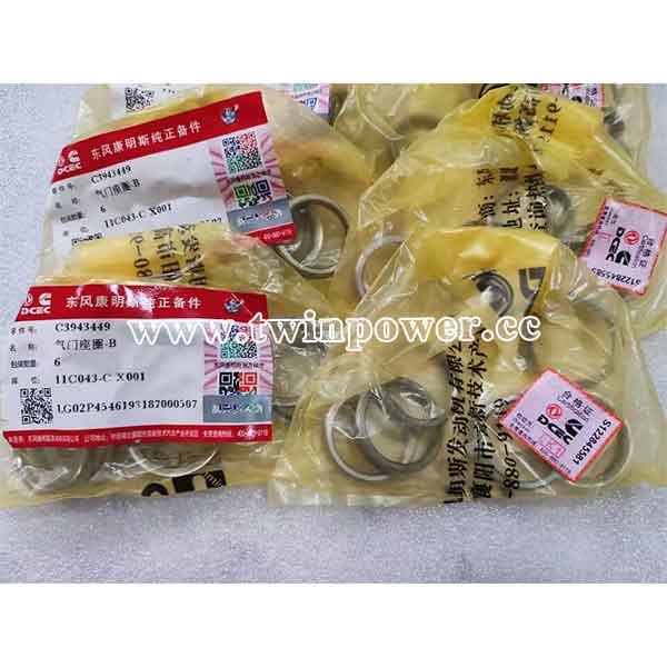 Cummins Valve Insert C3943449,DCEC