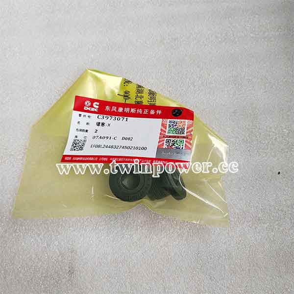 Cummins Threaded Plug C3973071,DCEC