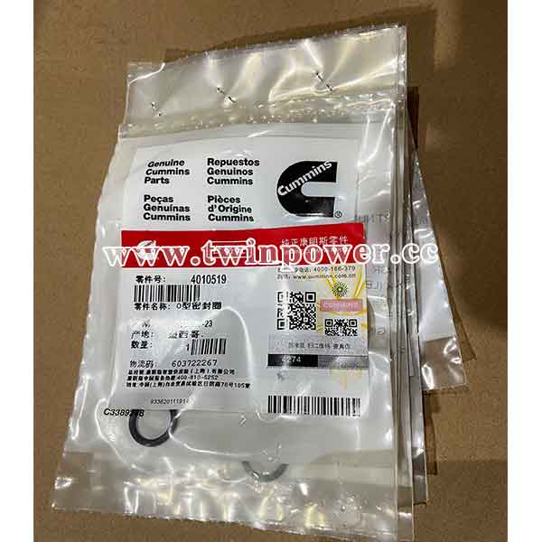 Cummins O Ring Seal 4010519, original