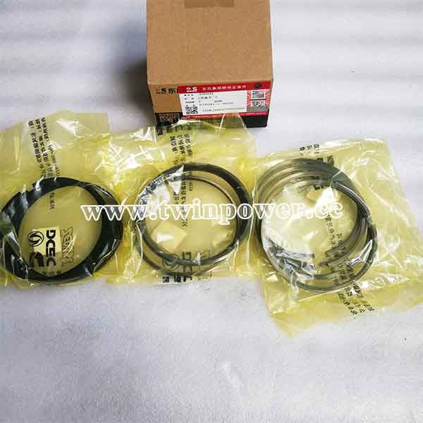 Cummins Piston Ring Kit 4089644,DCEC