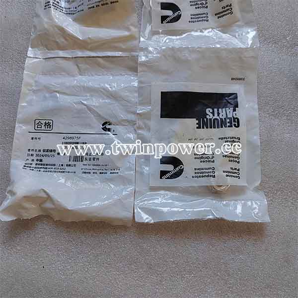Cummins Lock Nut 4298975F,original