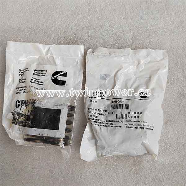 Cummins Valve Spring 4936080F,original