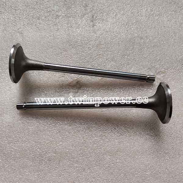 Cummins Intake Valve 4981794