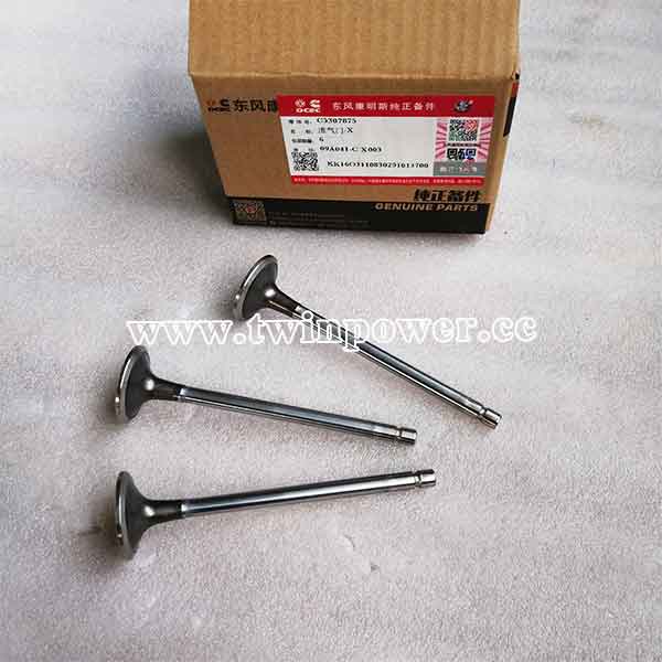 Cummins Intake Valve C5307875,DCEC