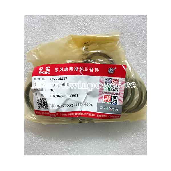 Valve Insert C5336837