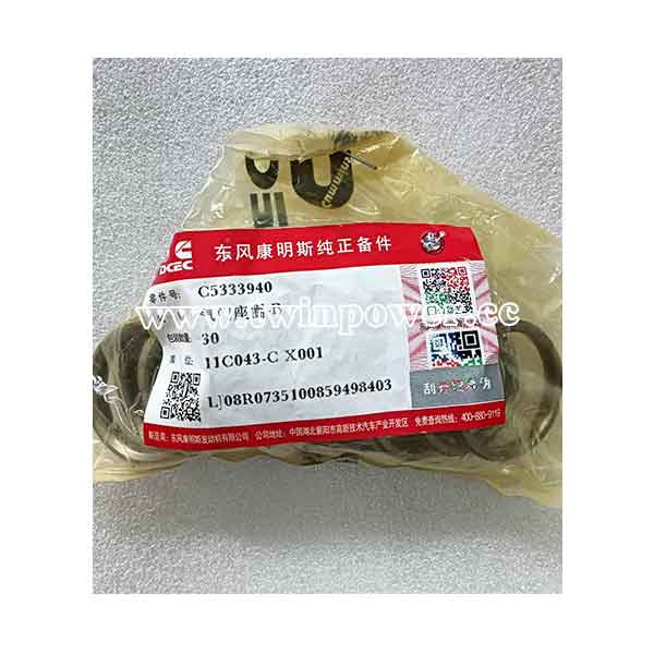 Valve Insert C5333940