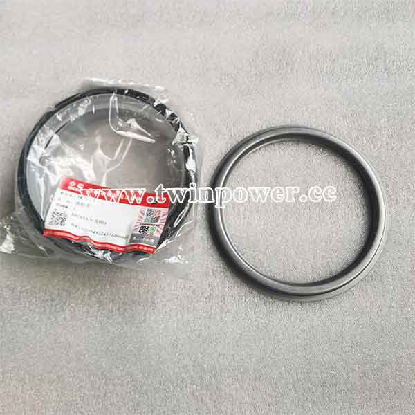 Cummins Oil Seal 5405392,DCEC