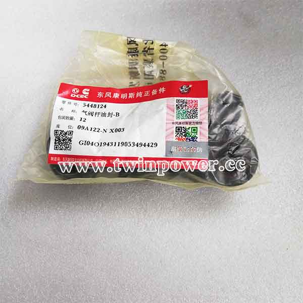 Cummins Valve Stem Seal C5448124 ,DCEC