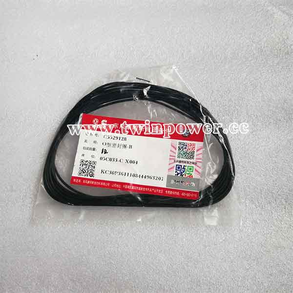 Cummins O Ring Seal C5529128,DCEC