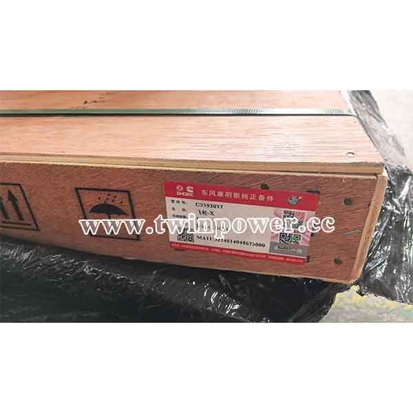Cummins Flywheel C5593037,DCEC