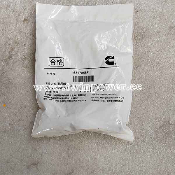 Cummins Pressure Relief Valve 6317855F,original
